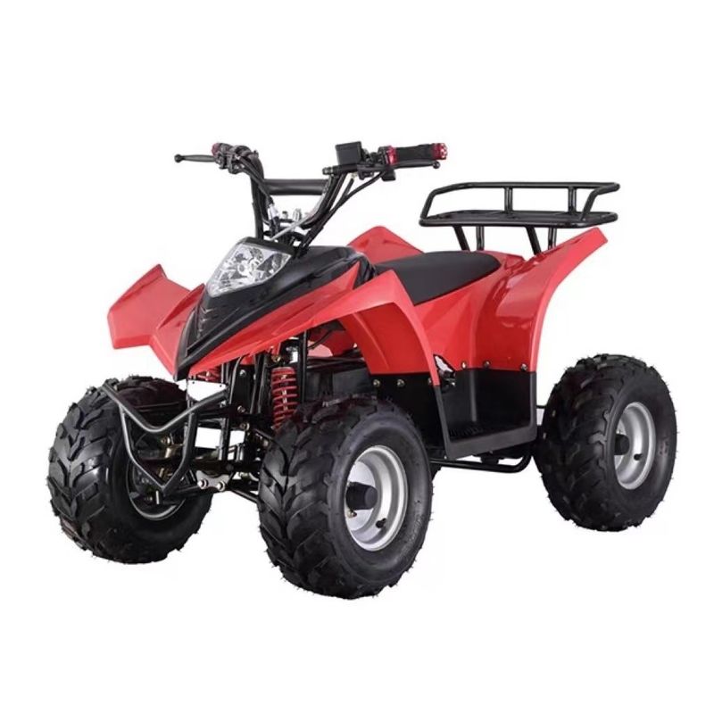 Mini ATV elettrico a prezzi accessibili con capacità di graduazione ≥ 25° e blocco differenziale