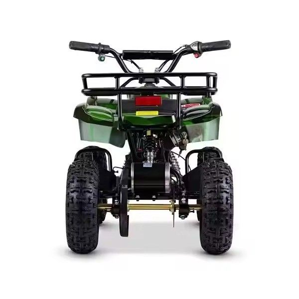 ATV elettrico 500W 800W 4 Wheeler Quad Bike per bambini Off Road Avventure e avventure