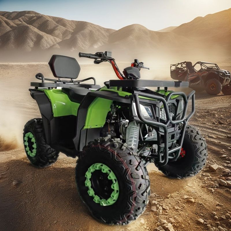 Motocicletta a quattro ruote da 250cc a prezzi accessibili con supporto per colori personalizzabili