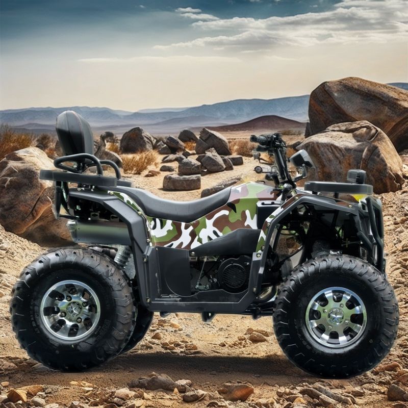 250cc 4 ruote Beach Buggy Chain Drive Doppio 4 ruote Mountain Cuatrimoto ATV 4x4