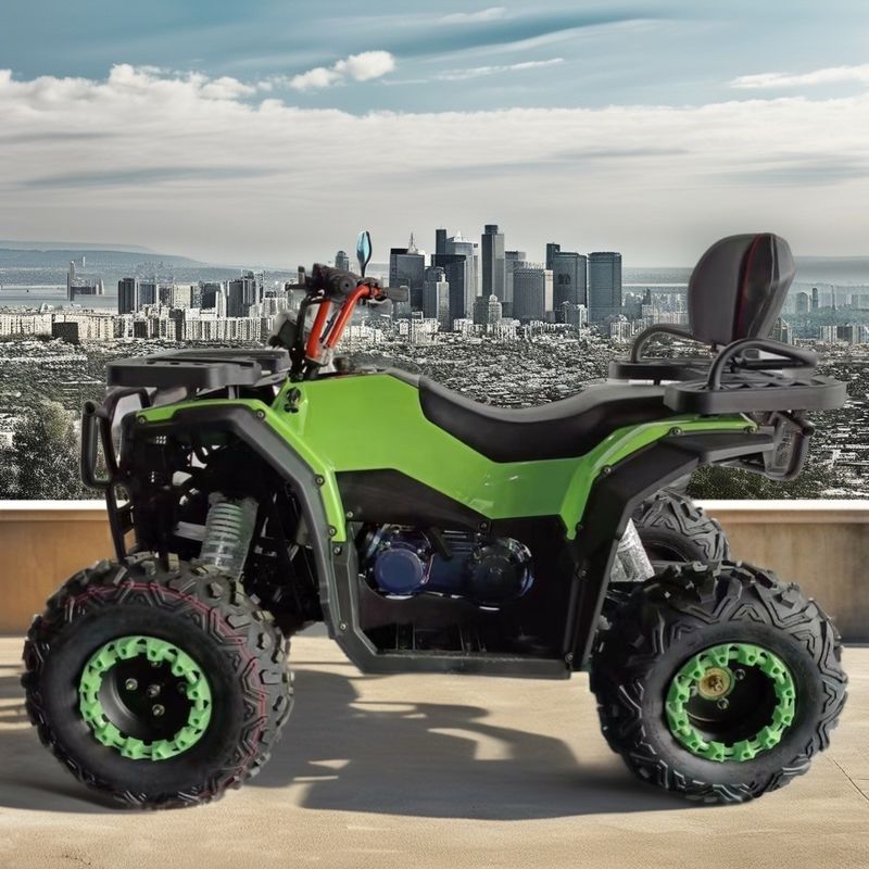 250cc Disposizione quattro tempi raffreddato ad aria Motore a benzina ATV per 2WD Driving Fun