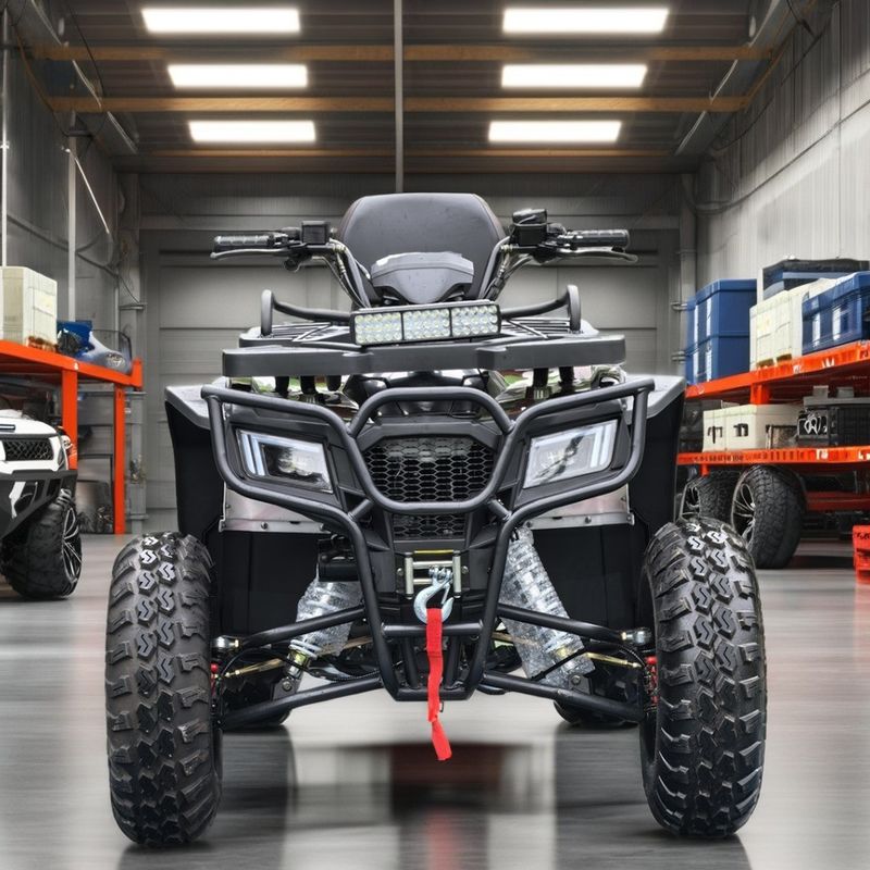 Scatena il tuo avventuriero interiore 250cc Automatic Chain Drive ATV per il fuoristrada