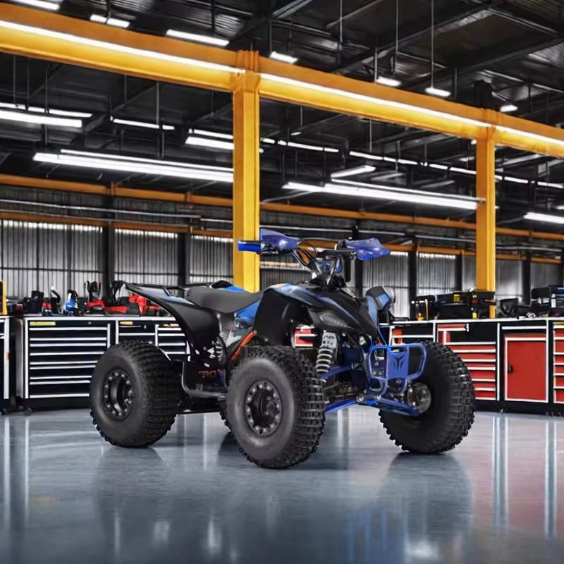 1500W Eco-Friendly ATV quattro ruote Tempo di ricarica h 7-9h Perfetto per la montagna e la spiaggia