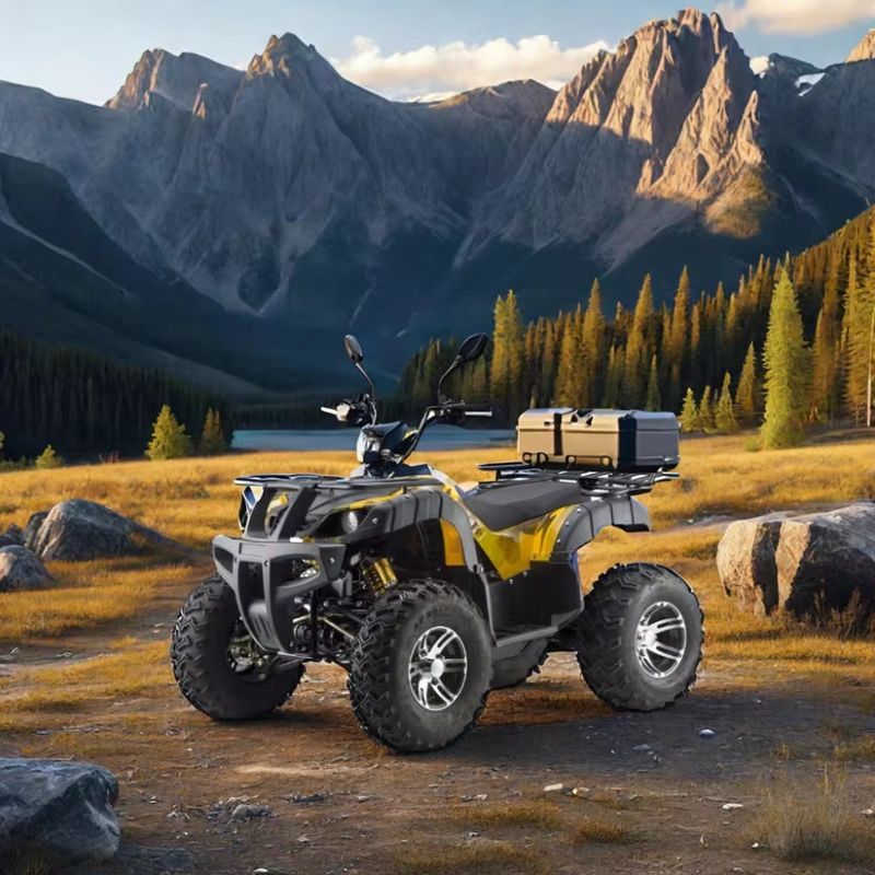DISC Brake Electric 3000w Dune Buggy per adulti 1500w*2 UTV ATV 4x4 Veicolo fuoristrada