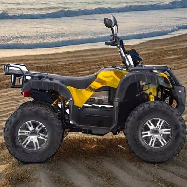 Velocità massima 50-75Km/h 3000W ATV elettrico con 4WD e trasmissione automatica 60v