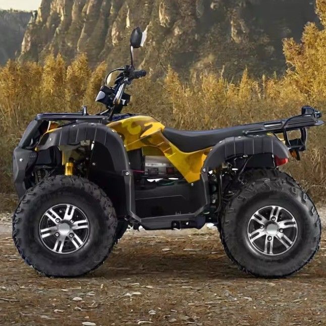 Adulti 3000W ATV elettrico quad a gas 2WD 4WD con velocità massima di 50-75Km/h