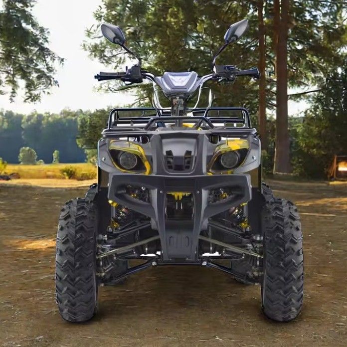 Potente 3000W 1500W 4WD 4x4 Moto ATV UTV 1000cc Quad ATV con passo tra le ruote 1800-2200mm