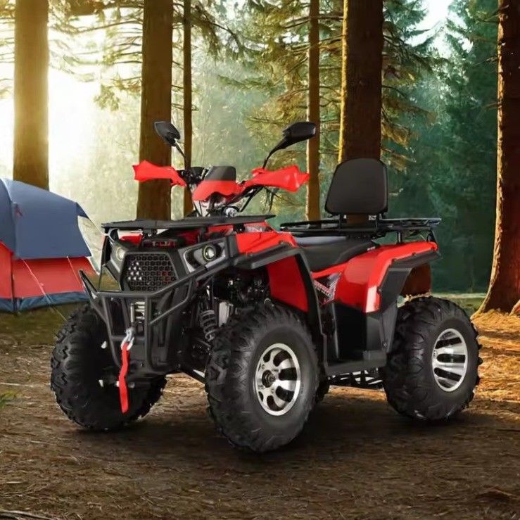200cc 2X4 4X4 stradale legale ATV Quad Bike per adulti cilindrata 200cc cilindro numero 1