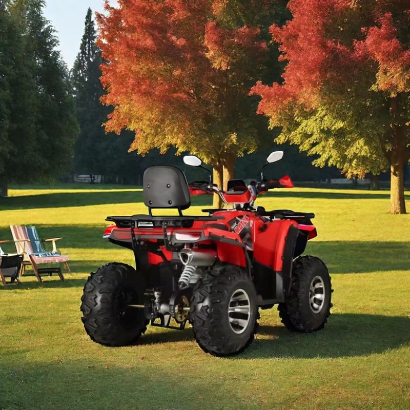 ATV a gas combustibile/diesel 200cc/250cc a quattro ruote con coppia massima Nm ≤20Nm
