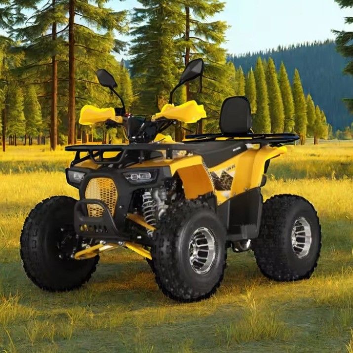 125cc Farm Quads ATV per adulti Potente motore a gas / diesel e trazione a catena