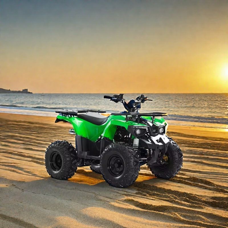 Motore Aotong 110cc 125cc 150cc Cuatrimoto ATV per adulti