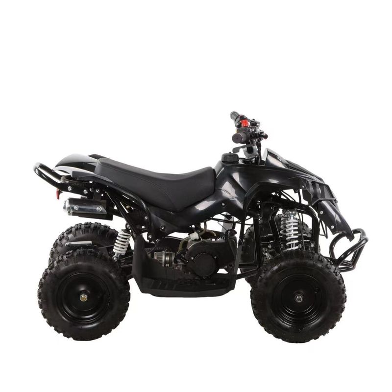 Mini ATV 49cc Quad Bike per bambini e adulti Fuel Gas/Diesel Non dotato di blocco differenziale