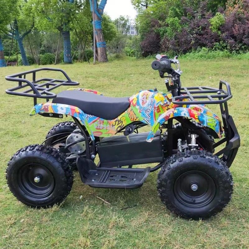 36V 500w 4 ruote Offroad Motorcycle Buggy Sperimenta il potere della catena di guida