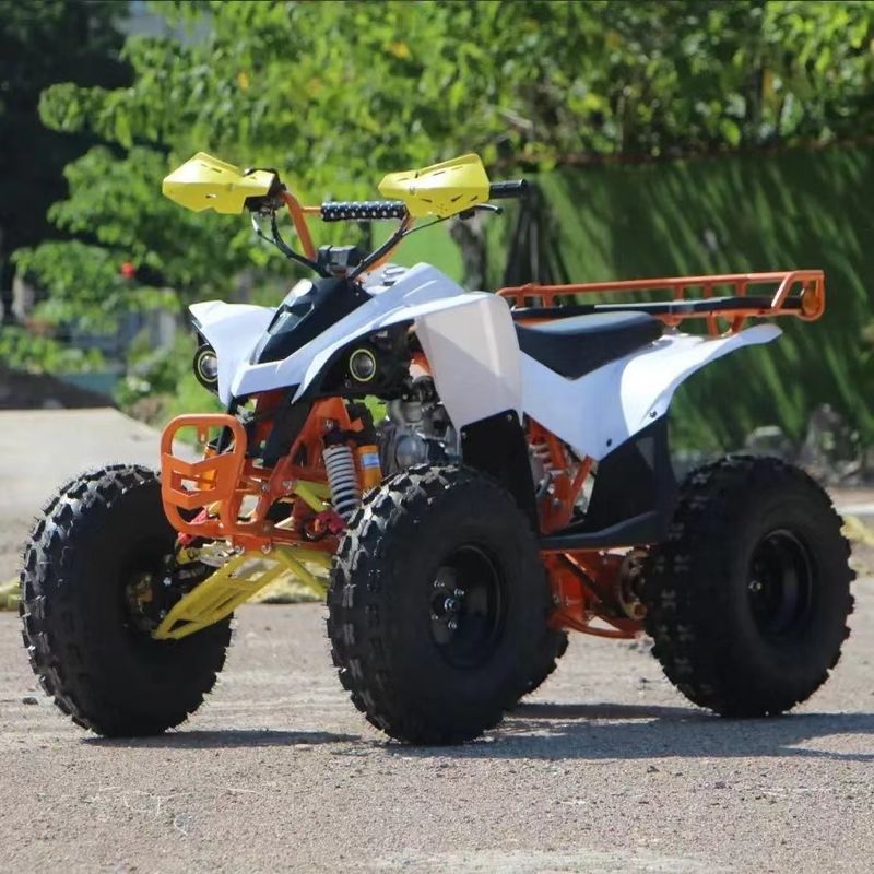 Quattro ruote con certificazione CE 110cc 125cc 150cc 4 tempi a gas Kids ATV