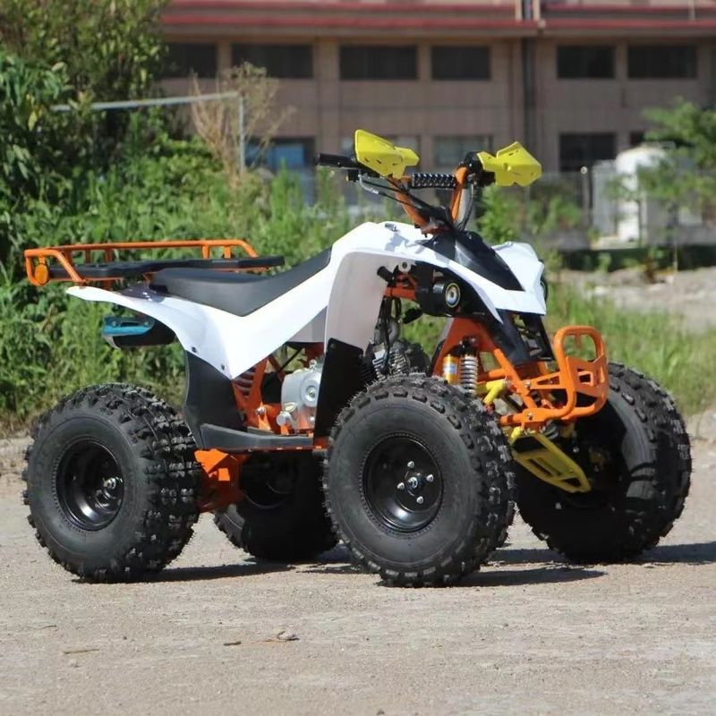 150cc 200CC 250CC Trasmissione automatica Quattro ruote Off-Road Quad Bike ATV per montagna