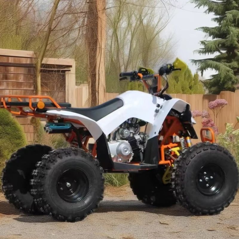 110cc-125cc ATV automatico per adulti CE approvato pneumatici da 8 pollici benzina Quadbike ruote grandi