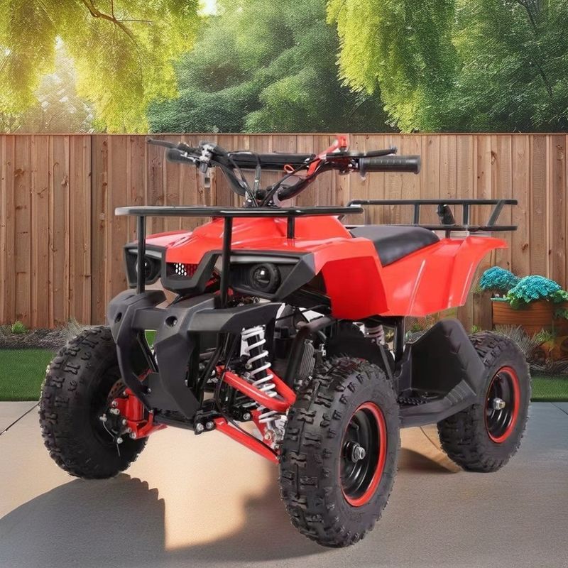 Mini Quad di 49 CC con basso consumo di carburante Torsione massima Nm ≤20Nm Gas combustibile / diesel