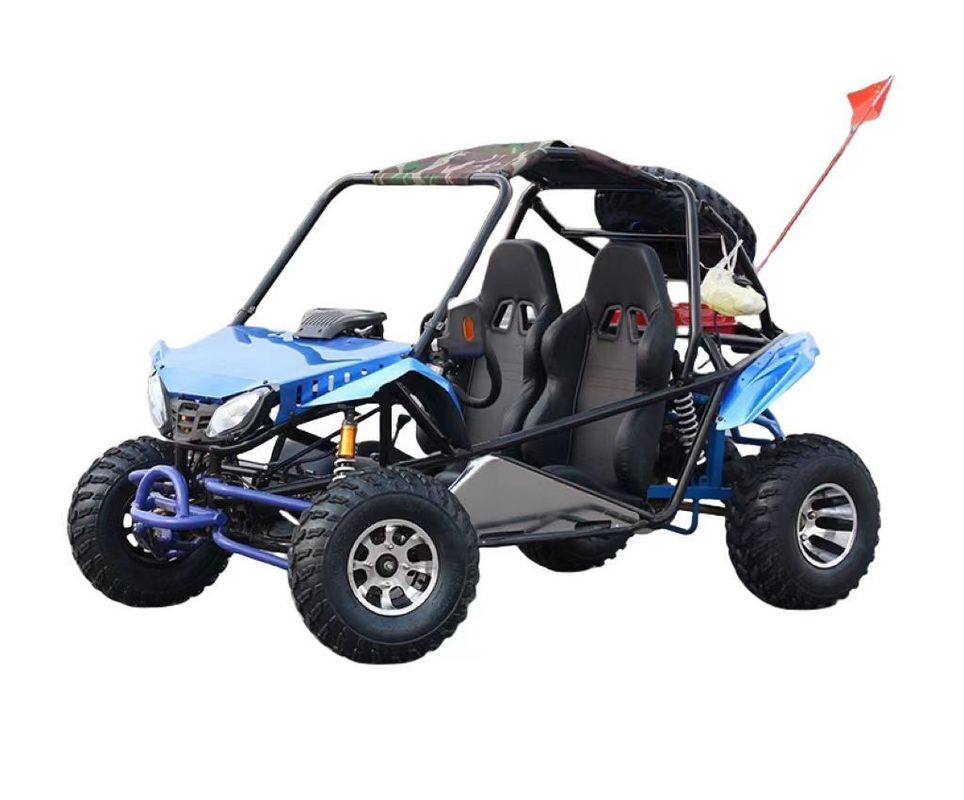 200cc Go Karts ATV Quad 2WD Off-Road Buggy con pneumatici a vuoto e 200-300kg di peso a bordo