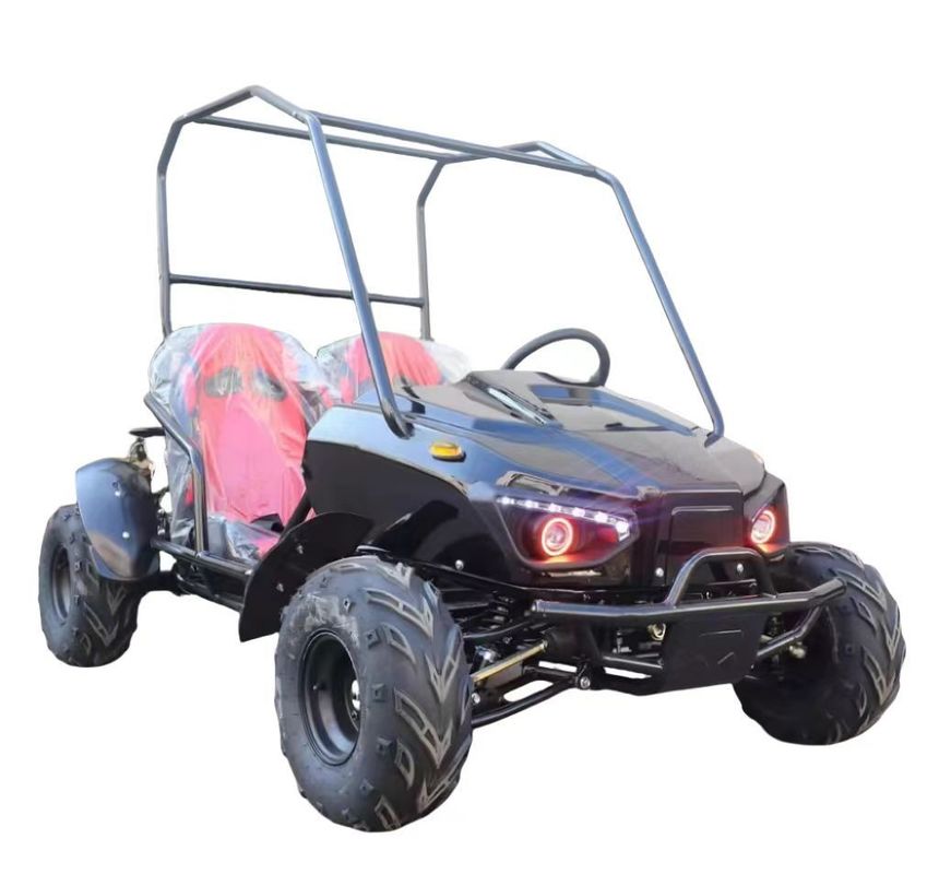 Carro elettrico a due posti con sistema di freno a disco anteriore e a disco posteriore e tensione di 60V